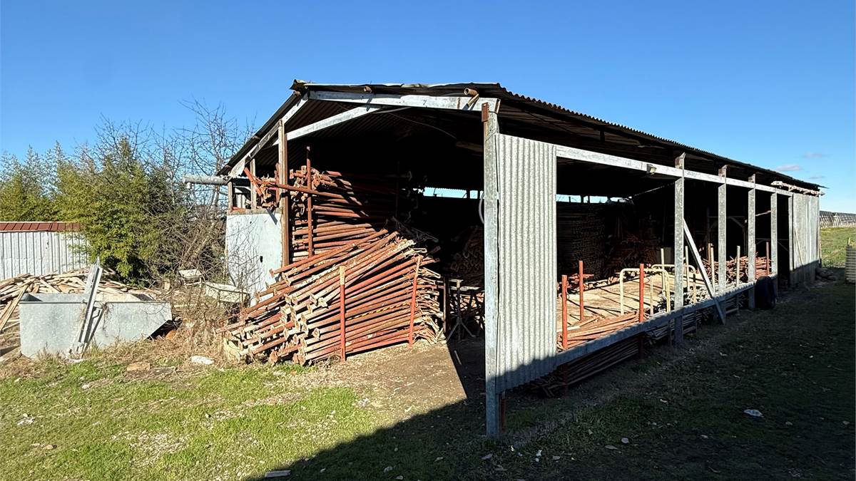 Photo 3